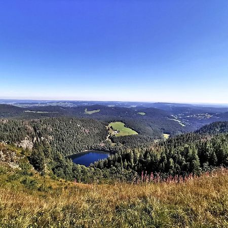 Apartament Residenz Grafenmatt "Abendsonne" Feldberg  Zewnętrze zdjęcie