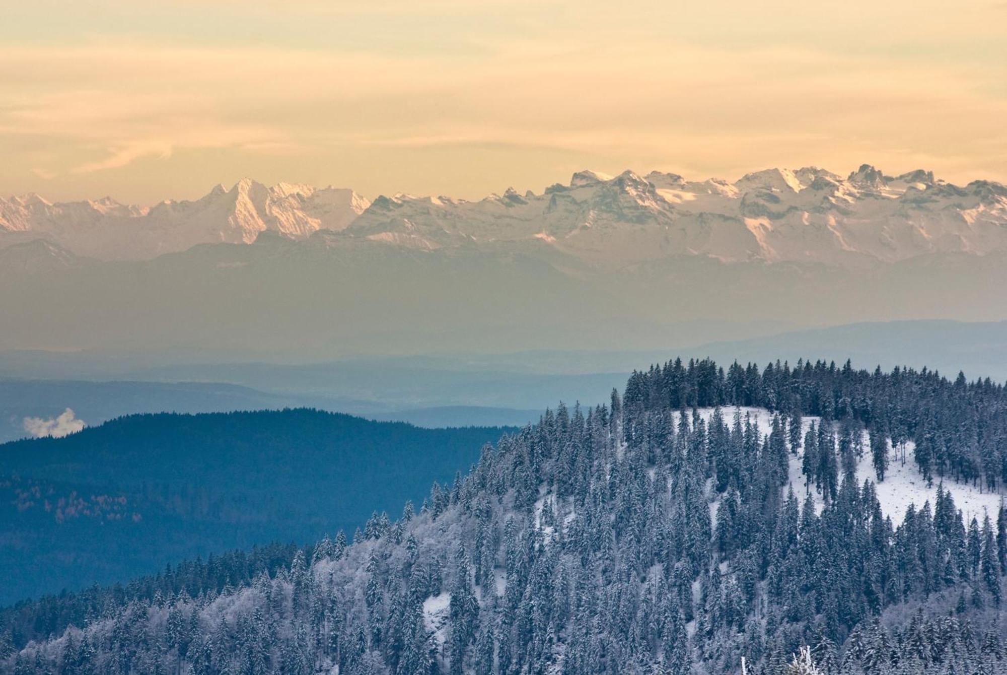 Apartament Residenz Grafenmatt "Abendsonne" Feldberg  Zewnętrze zdjęcie