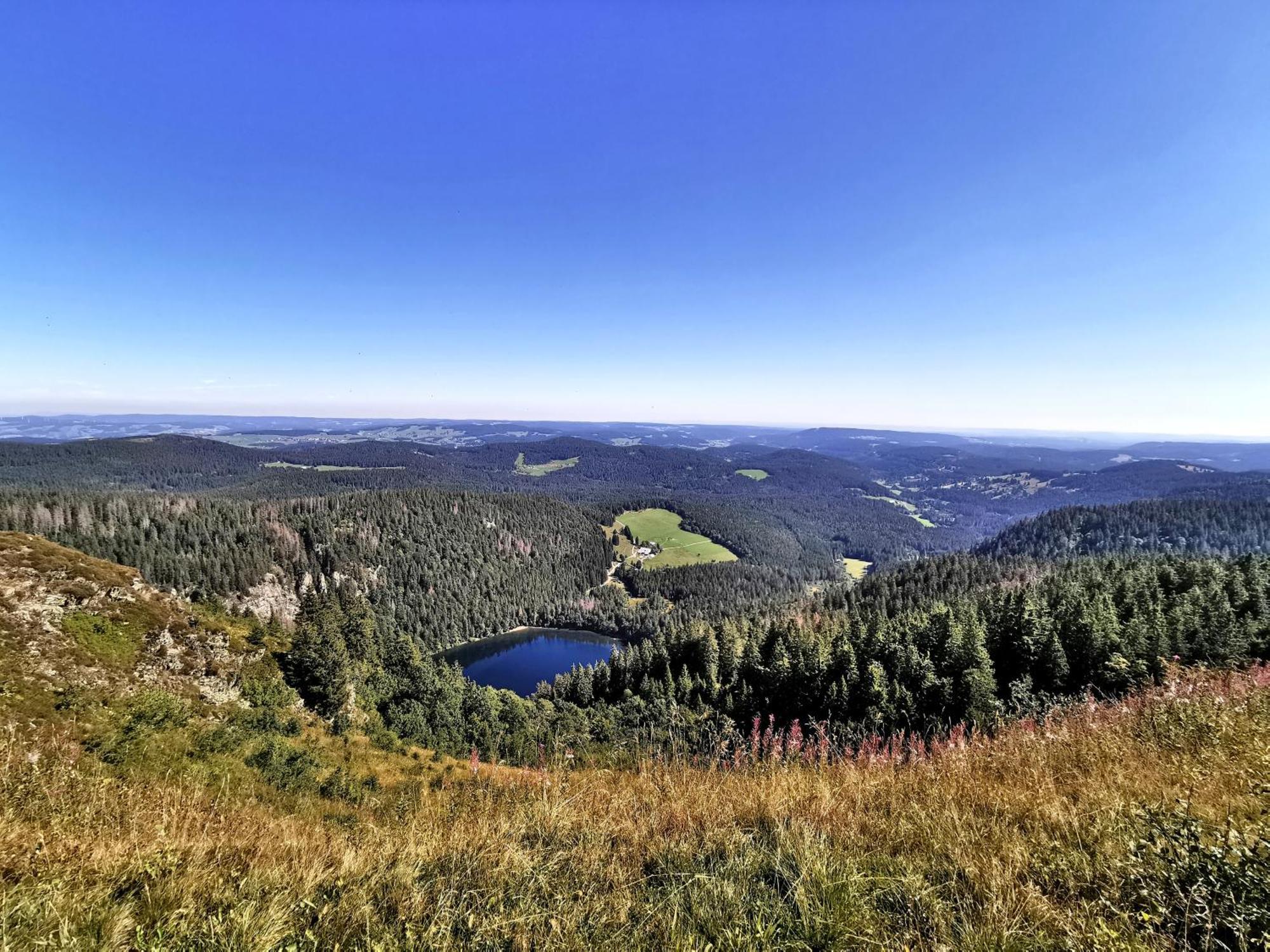 Apartament Residenz Grafenmatt "Abendsonne" Feldberg  Zewnętrze zdjęcie