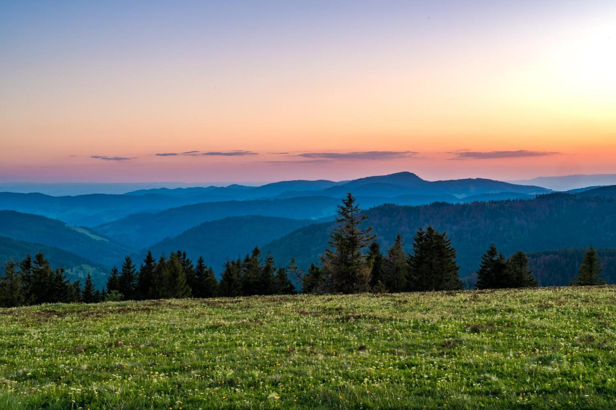 Apartament Residenz Grafenmatt "Abendsonne", Feldberg Rinken Zewnętrze zdjęcie